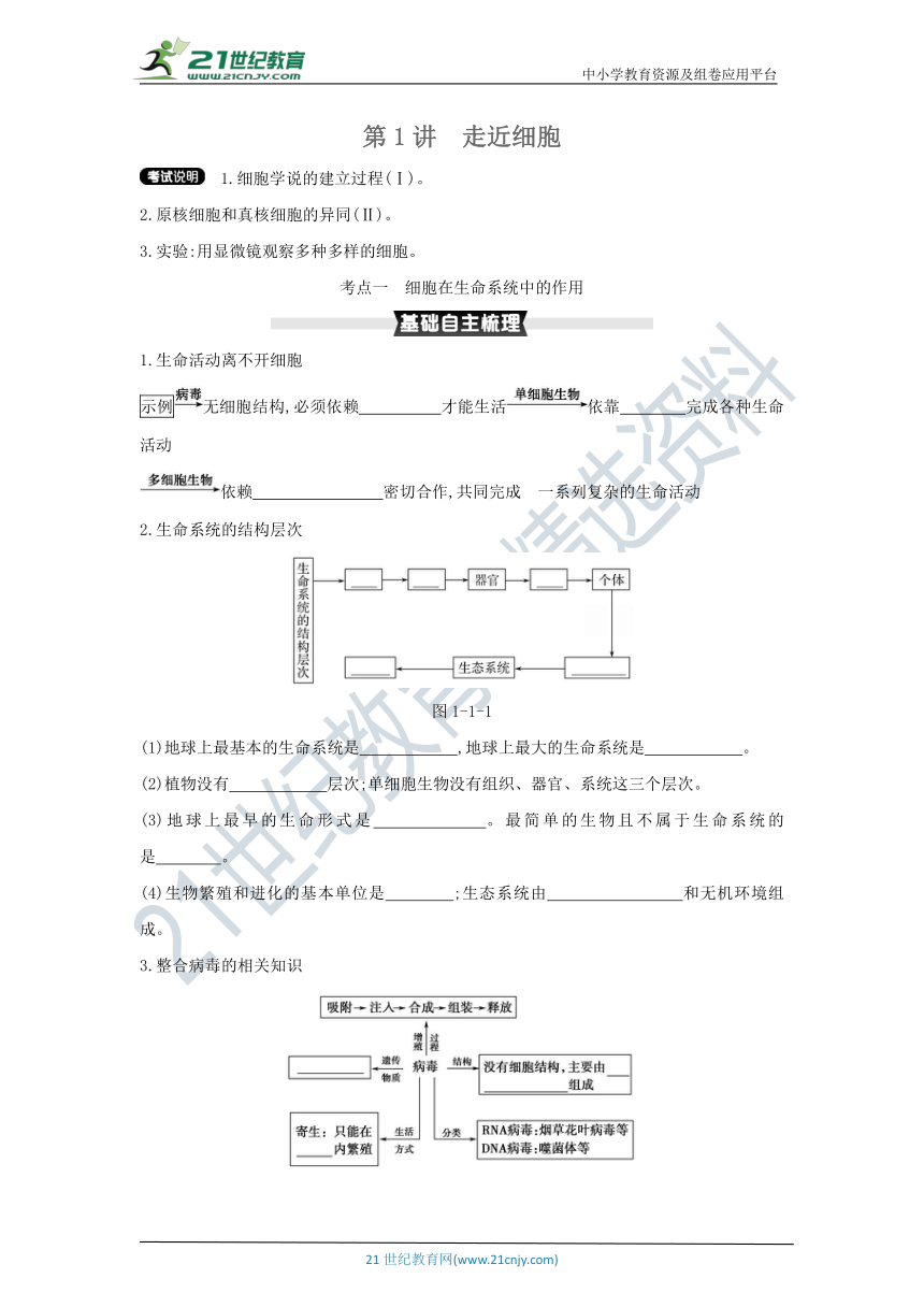 考点梳理&同步真题：第1讲   走近细胞（含答案详解）