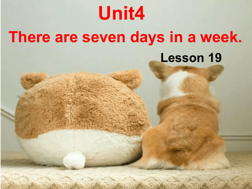 Unit4 There are seven days in a week.(Lesson19) 课件(共22张PPT)