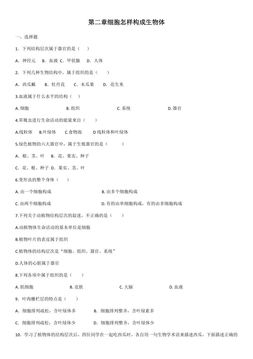 人教版七年级上册生物2.2细胞怎样构成生物体训练题（word版含答案）