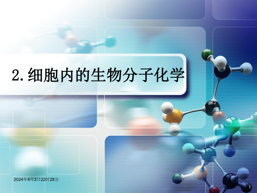 2.1生物分子概论 课件(共42张PPT)- 《环境生物化学》同步教学（机工版·2020）