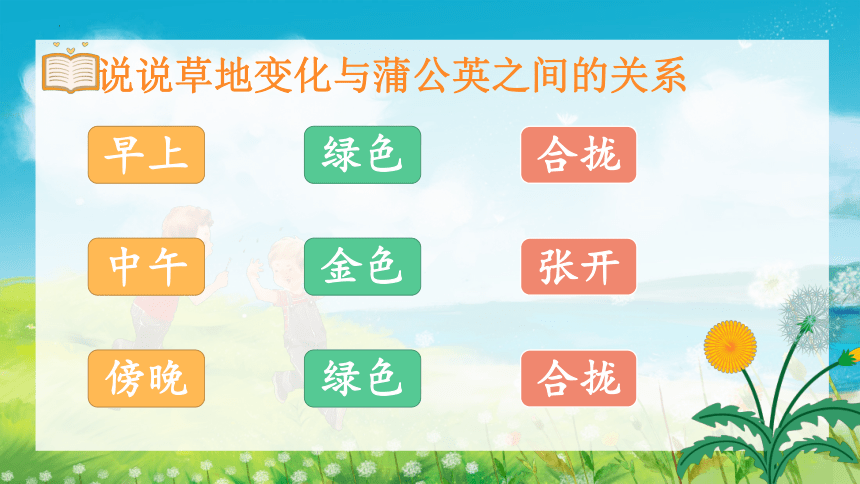 16 金色的草地 第二课时（课件） (共20张PPT)