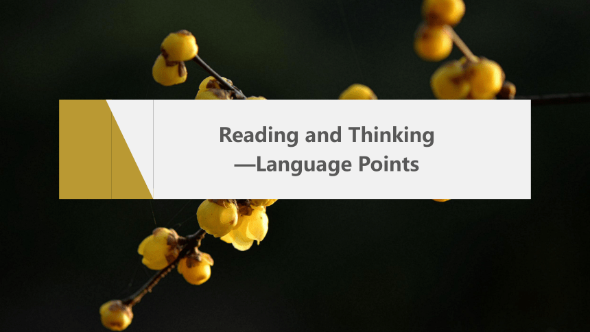 Unit 1 Period 2　Reading and Thinking—Language Points课件（共36张PPT）人教版（2019）选择性必修 第三册