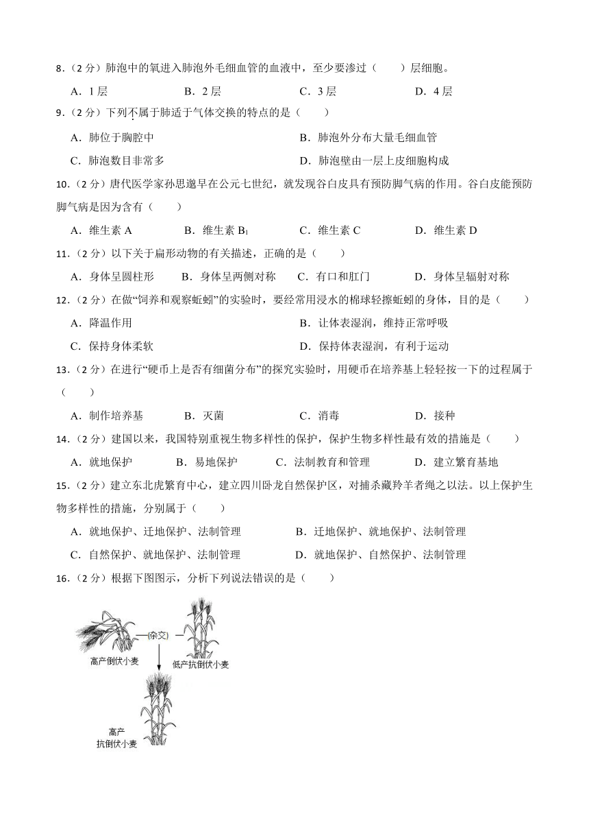 2024年甘肃省武威市凉州区怀安九年制学校联片教研二模生物试题（含答案）