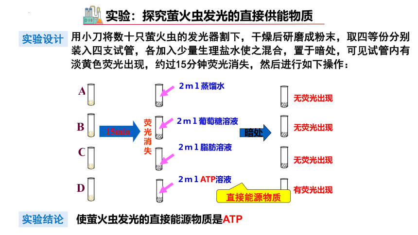 5.2细胞的能量“货币”ATP课件（27张ppt）2022-2023学年高一上学期生物人教版（2019）必修1