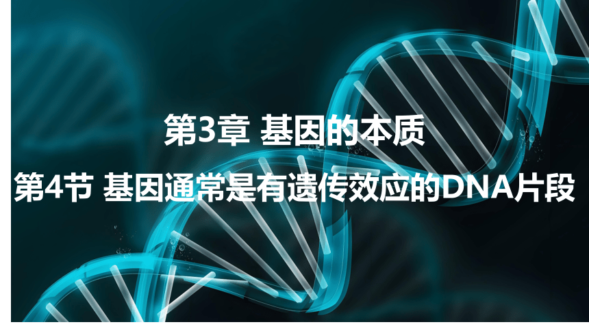 3.4 基因通常是有遗传效应的NA片段课件(共18张PPT1个视频)-人教版（2019）必修2