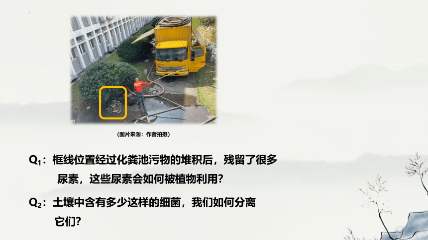 1.2.2土壤中分解尿素的细菌的分离与计数课件(共27张PPT)-人教版选择性必修3