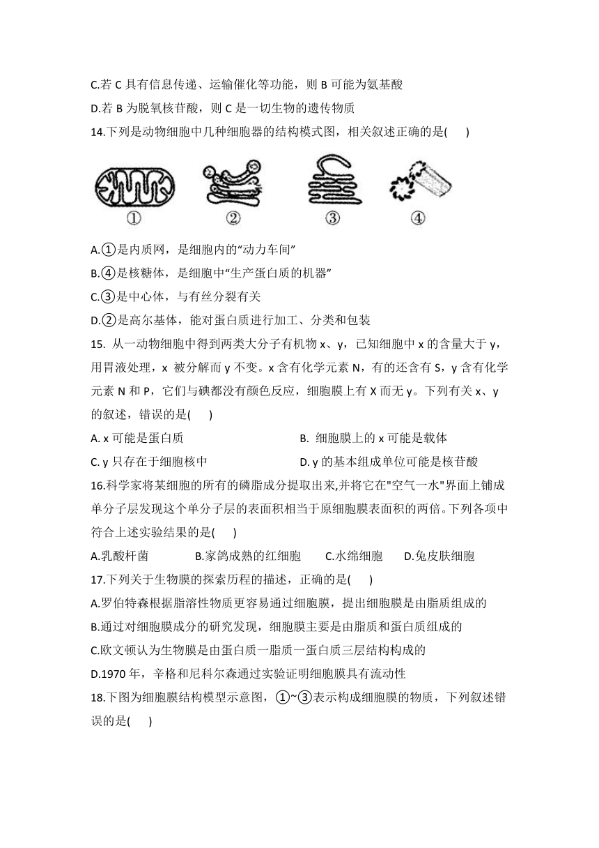 黑龙江省绥化市明水第一高级中学2021-2022学年高一10月月考生物试卷（Word版含答案）