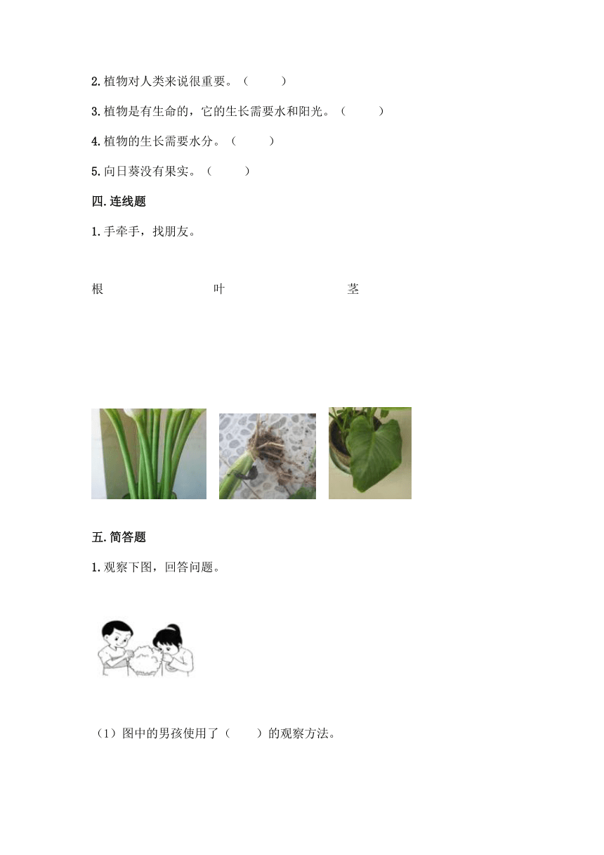 教科版（2017秋）2021-2022学年科学一年级上册第一单元 植物 单元测试卷（含答案）