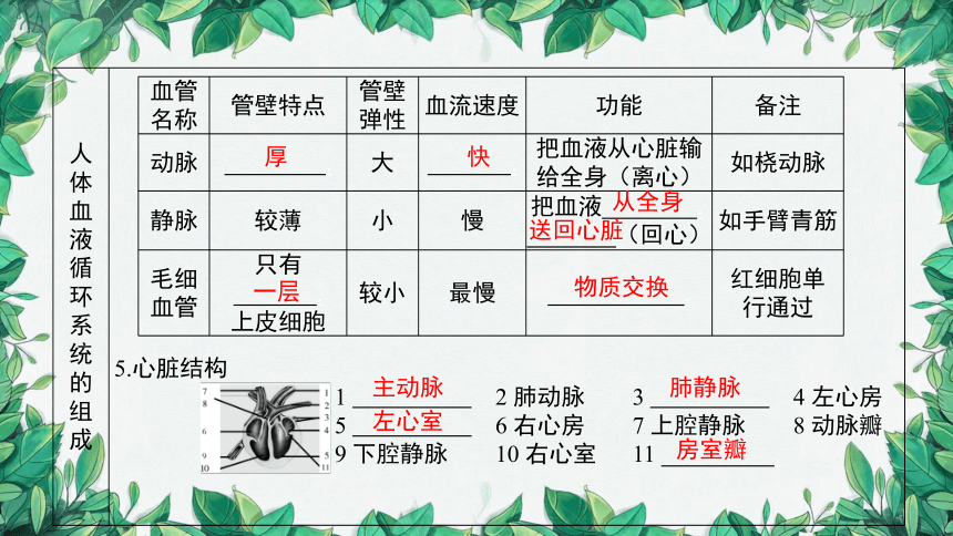 2023年中考生物复习 课题二 人体内物质的运输课件(共36张PPT)