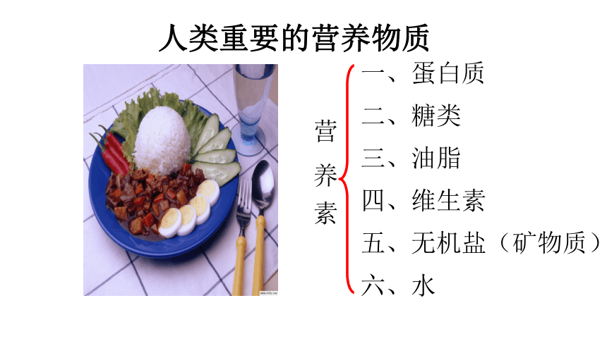 12.1人类重要的营养物质 课件(共24张PPT)——2022-2023学年九年级化学人教版下册