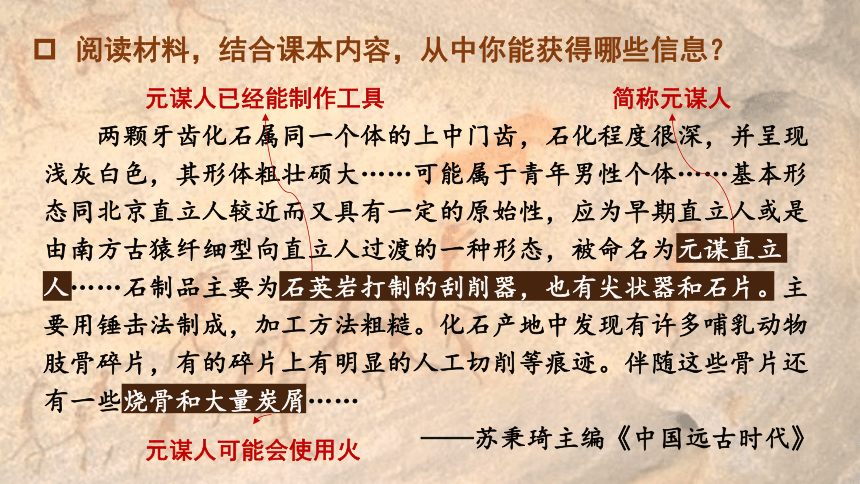 第1课  中国境内早期人类的代表——北京人 课件（40张PPT）2023-2024学年部编版七年级历史上册
