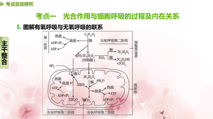 【二轮专题复习课件】第4讲　光合作用与细胞呼吸(共89张PPT)