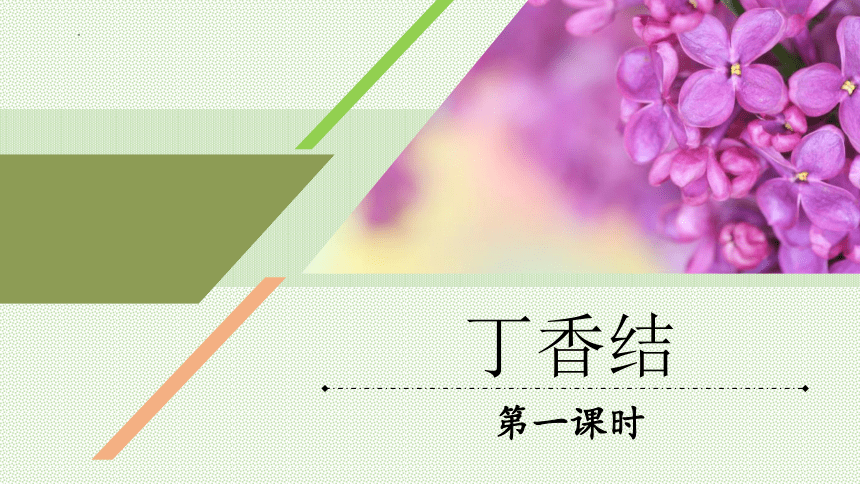 2《丁香结》课件(共34张PPT)