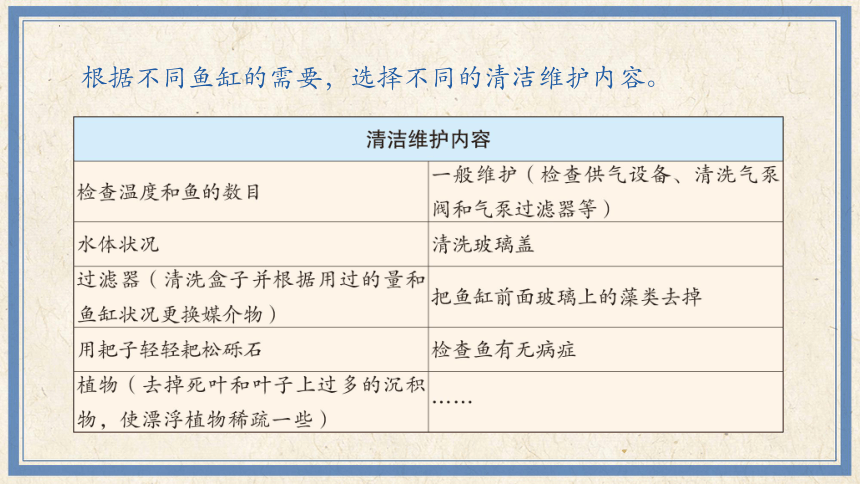 5鱼缸的维护（课件）(共14张PPT)-2023-2024学年四年级下册劳动人民版