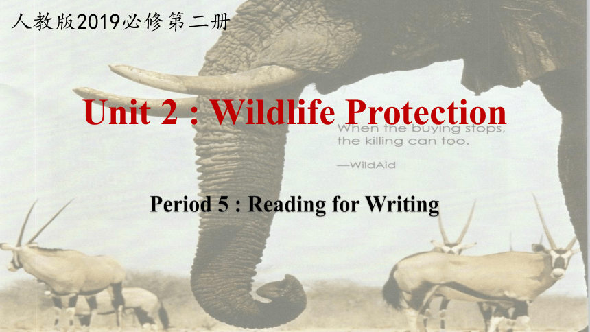 人教版（2019）必修 第二册Unit 2 Wildlife protection Reading for Writing课件(共23张PPT)