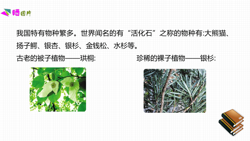 第十五章   生物多样性及其保护  素养提升课件(共16张PPT)