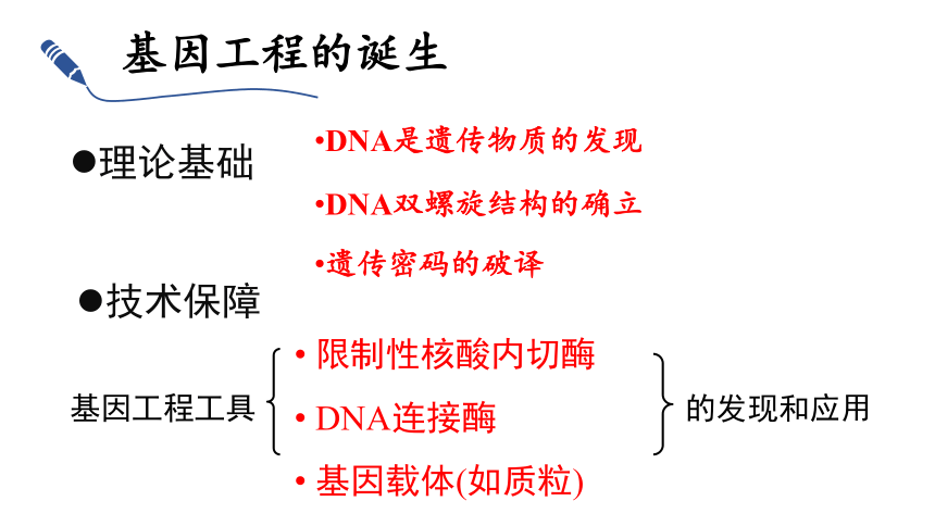 2020-2021学年高二下学期生物人教版选修3 1.1DNA重组技术的基本工具课件（32张ppt）