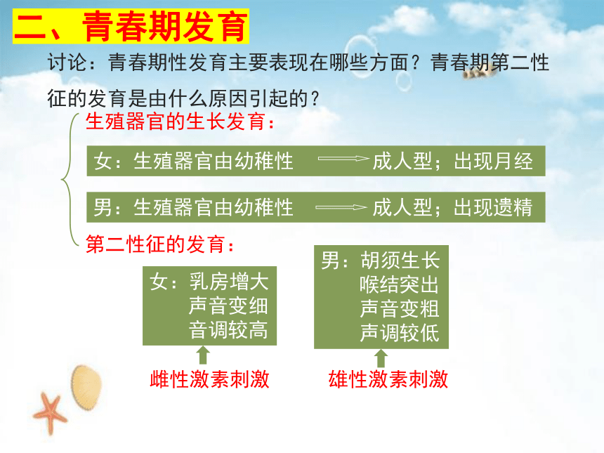 4.8.2 人的生长发育和青春期课件(共26张PPT)-七年级生物学下册（苏教版）