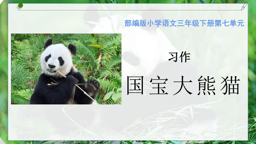 部编版语文三年级下册第七单元习作国宝大熊猫   课件