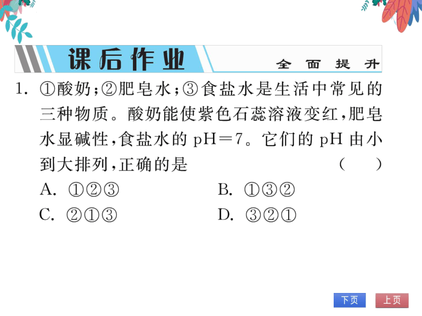 【人教版】化学九年级下册-第十单元 课题2 第2课时 溶液酸碱度的表示法——pH (习题课件)