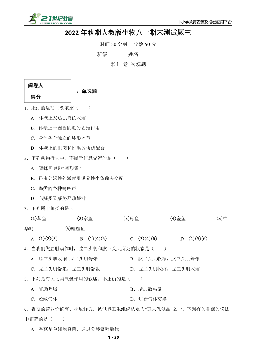 2022年秋期人教版生物八年级上册期末测试题三（含解析）