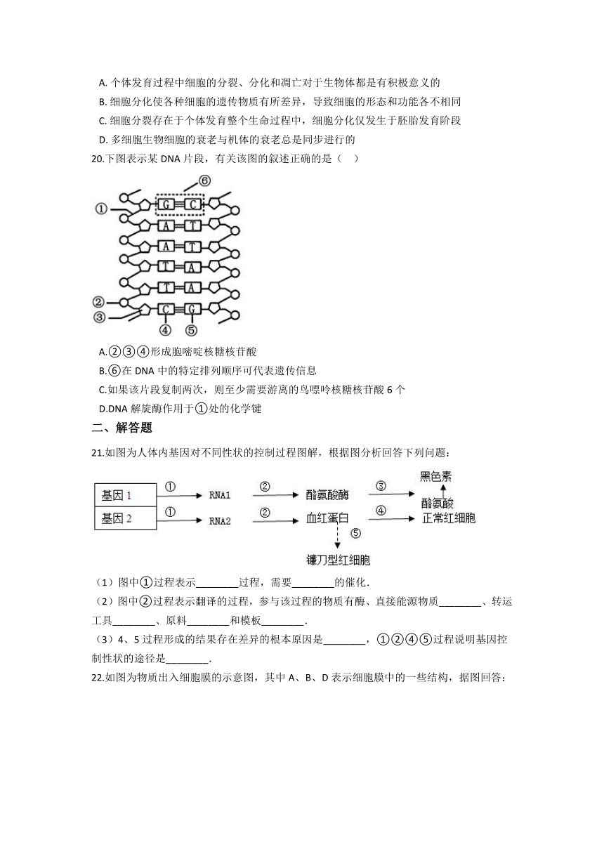 陕西省咸阳市旬邑县高级中学2021-2022学年高一上学期12月月考生物试题（Word版含答案）