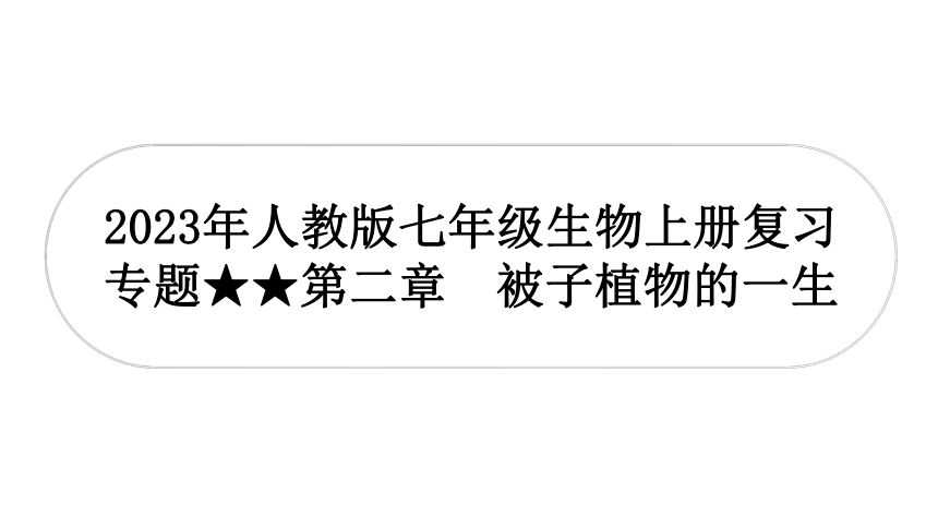 2023年人教版七年级生物上册复习专题★★第二章　被子植物的一生 课件