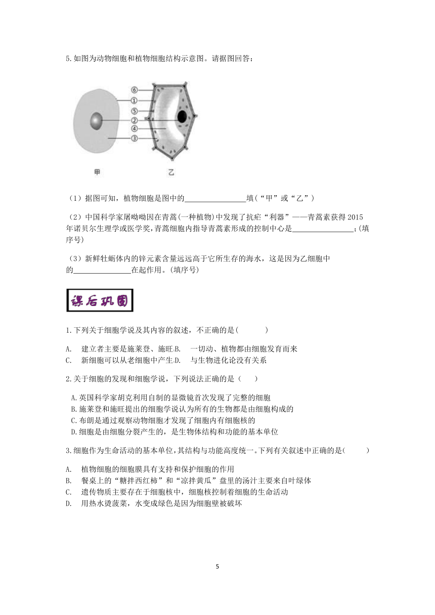 浙教版科学2022-2023学年上学期七年级“冲刺重高”讲义（七）：细胞（1）【word，含解析】