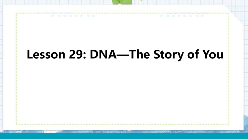 冀教版九年级上Unit 5 Look into Science Lesson 29 DNA—The Story of You课件(共25张PPT)