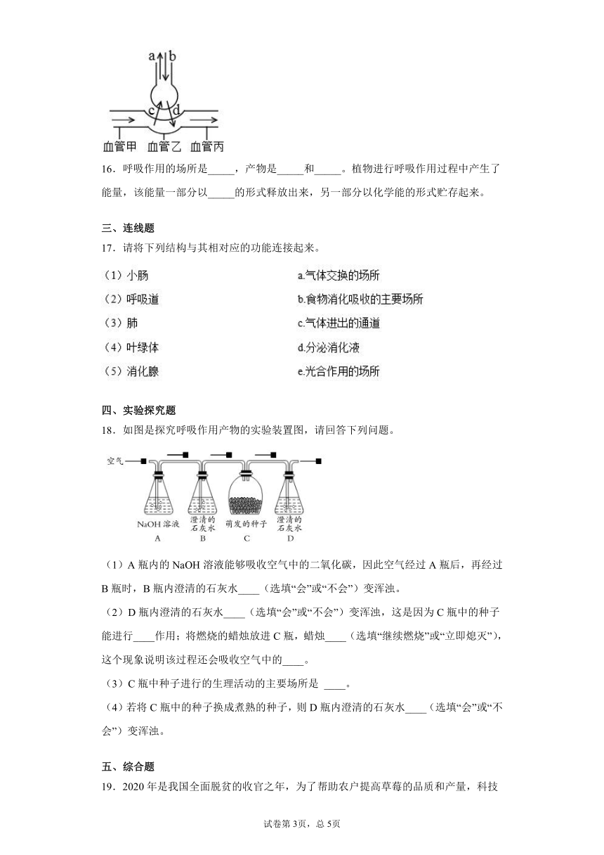 2020-2021学年北京版七年级下册第六章生物的呼吸测试卷（Word版 含答案）