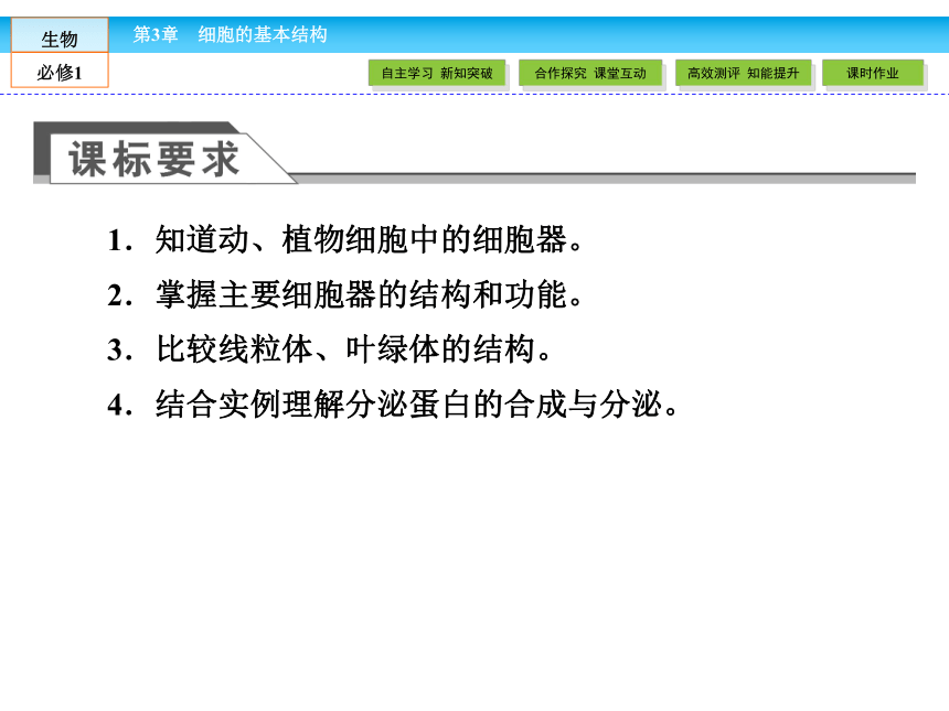 （人教版）高中生物必修一：3.2《细胞器——系统内的分工合作》课件（共 78张PPT）