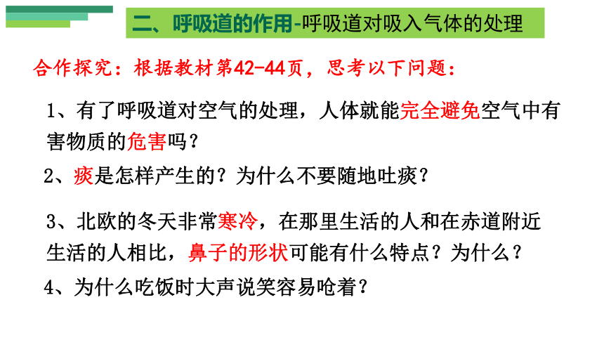 4.3.1呼吸道对空气的处理课件 (共24张PPT)人教版生物七年级下册