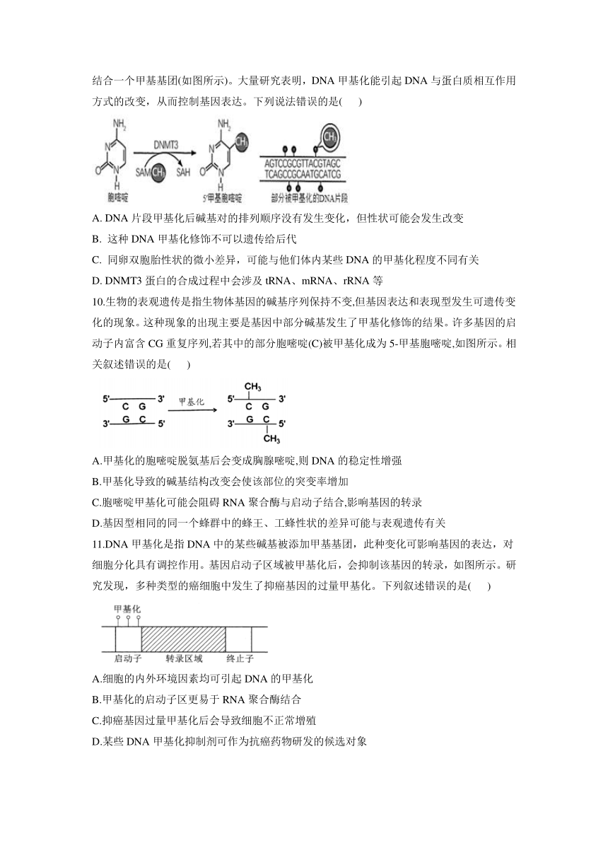 2021-2022学年高一下学期生物浙科版必修2：3.5 生物体存在表观遗传现象 课时作业（word版含解析）