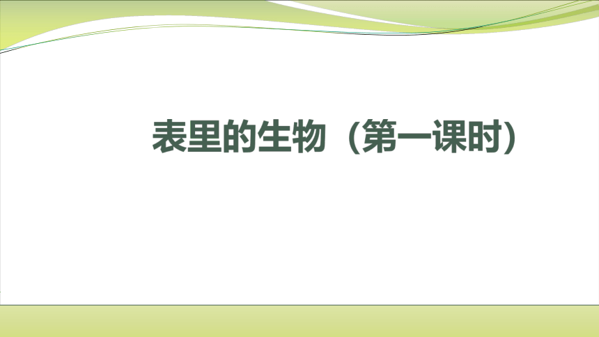 课文16 表里的生物  第一课时课件  (共23张PPT)