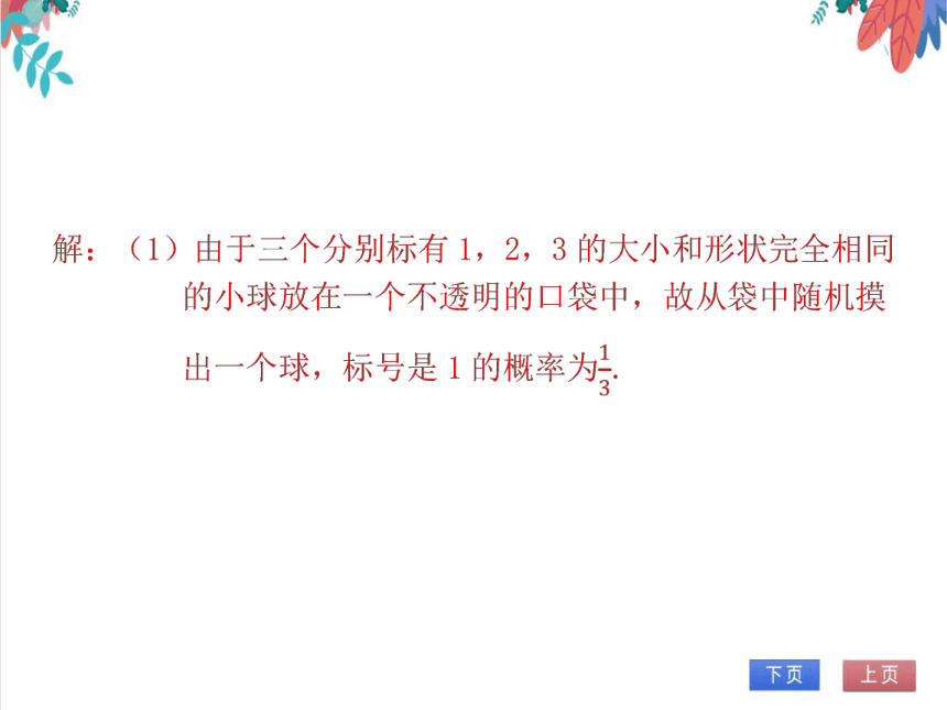 【北师大版】数学九（上）第3章 概率的进一步认识 期末复习学案（课件版）