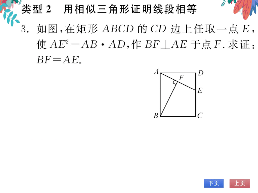 【沪科版】数学九年级上册 第22章 专题四 相似三角形的综合运用 习题课件