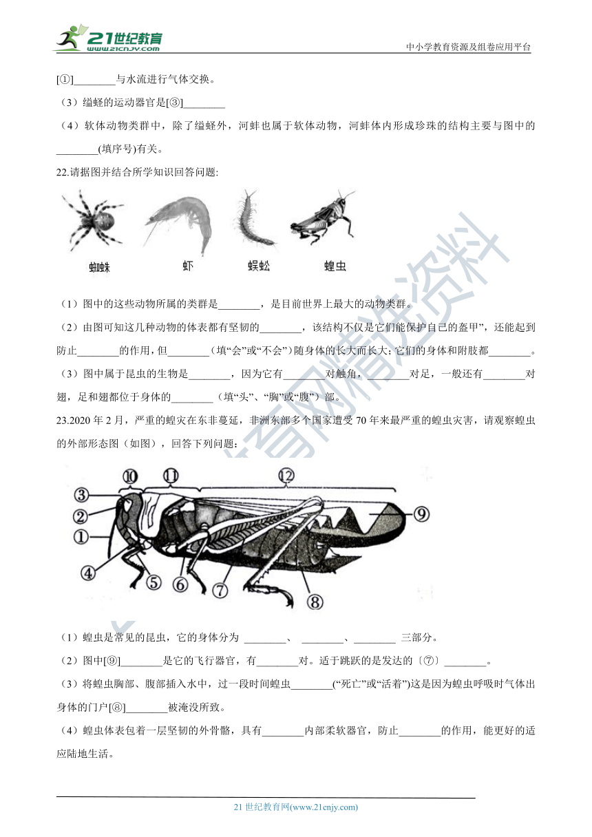 生物人教八上 5.1.3软体动物与节肢动物 同步练习（含答案）