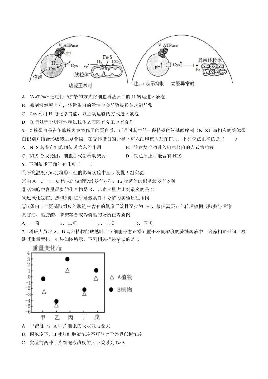 山东省济宁市名校2022-2023学年高二下学期期中考试生物学试题（Word版不含答案）