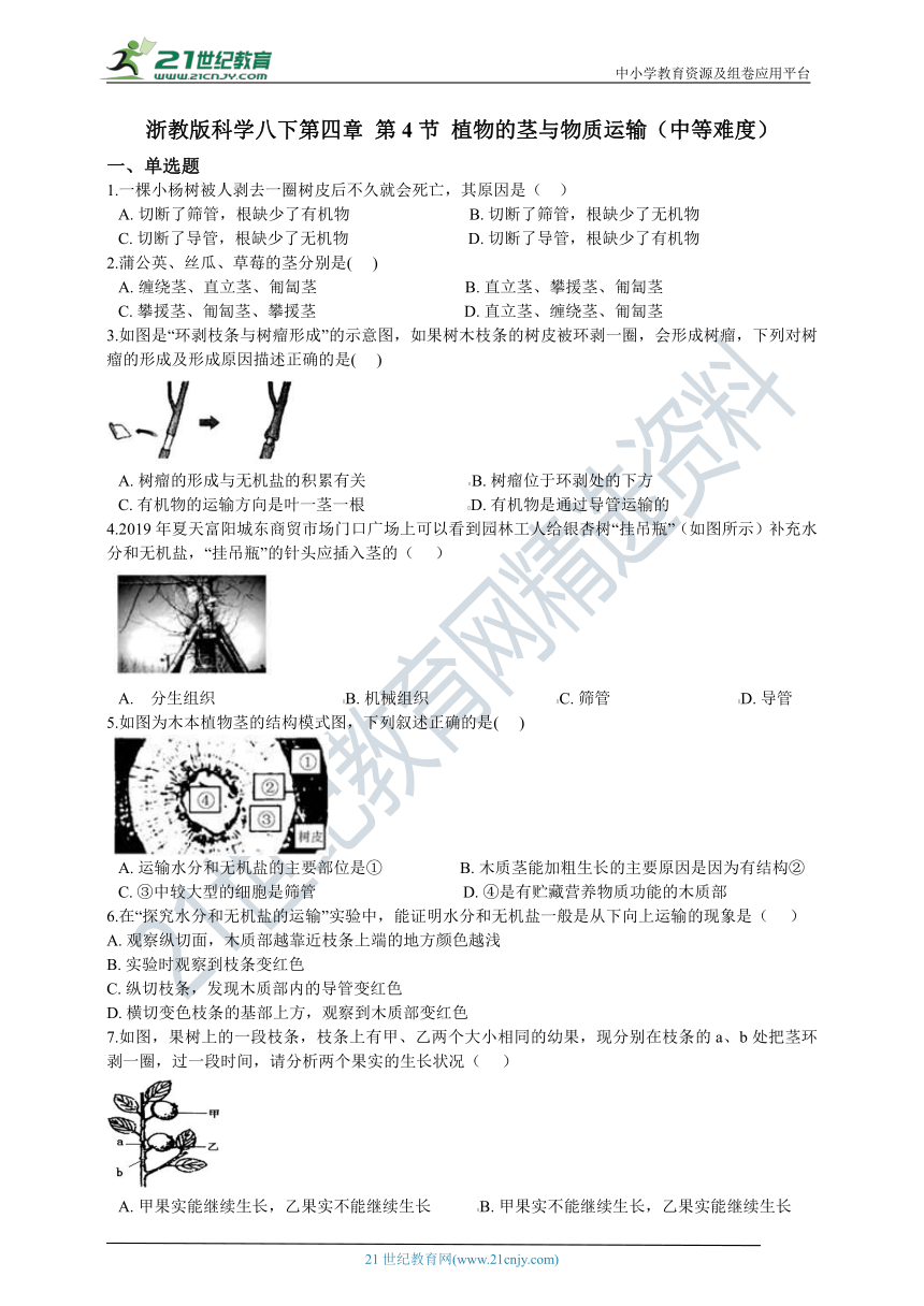 第四章 第4节 植物的茎与物质运输 一课一练 含解析（中等难度）