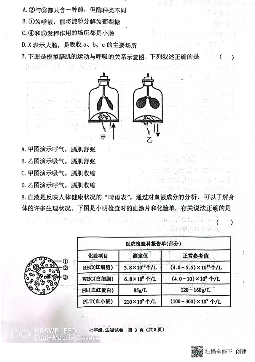 辽宁省丹东市2022-2023学年七年级下学期7月期末生物试题（pdf版无答案）