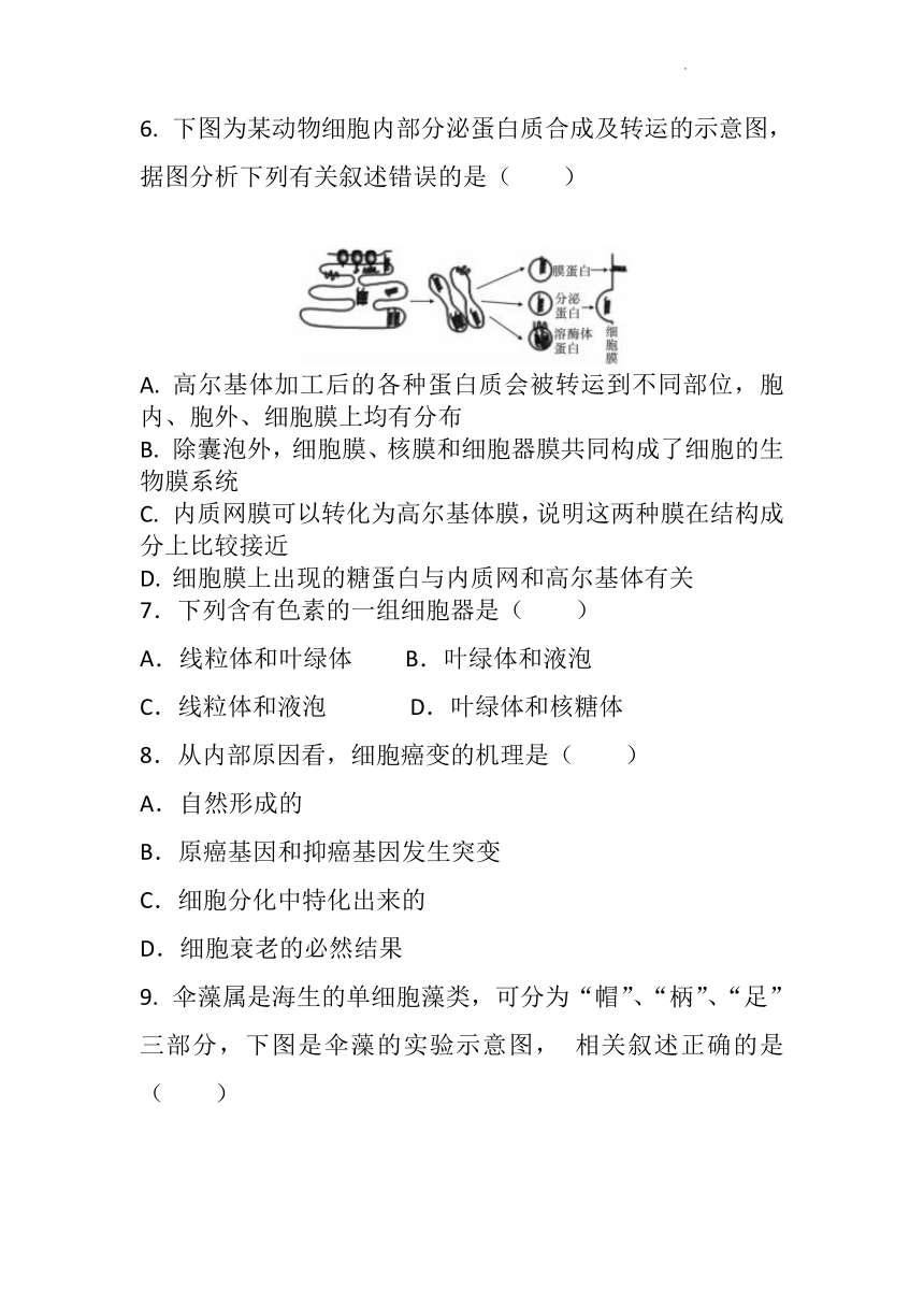 陕西省宝鸡市岐山县2021-2022学年高一上学期期末考试生物试题（Word版含答案）