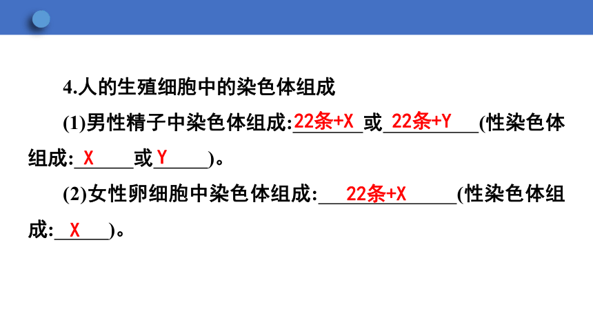 6.2.1 遗传 第3课时课件(共23张PPT)2023-2024学年初中生物冀少版八年级下册