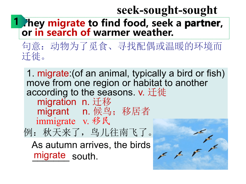 外研版（2019）  必修第一册  Unit 5 Into the Wild Understanding ideas 知识点课件-(23张ppt)