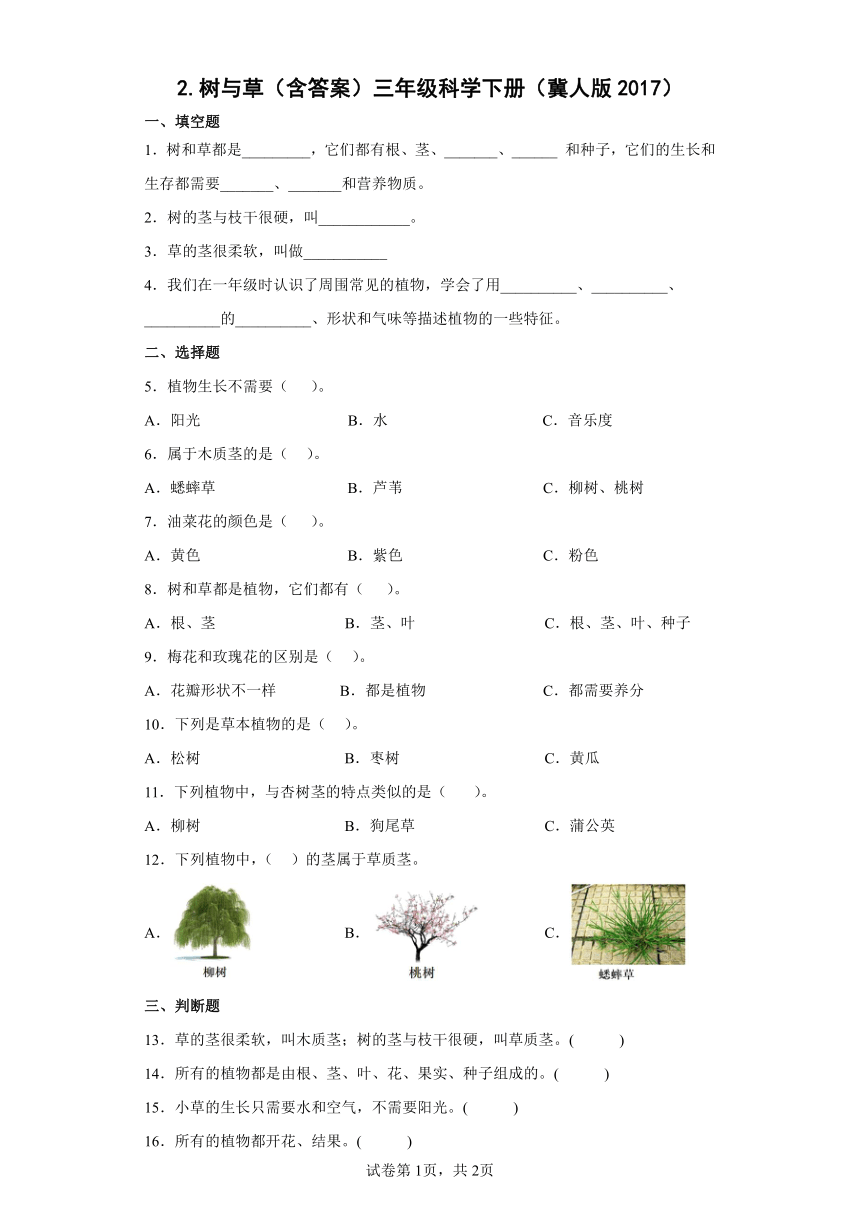 冀人版（2017秋） 三年级下册2.树与草（含答案）