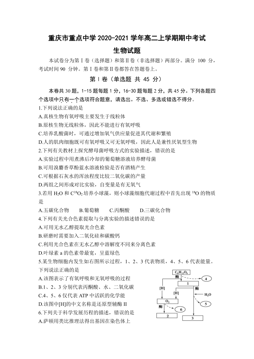 重庆市重点中学2020-2021学年高二上学期期中考试生物试题 Word版含答案