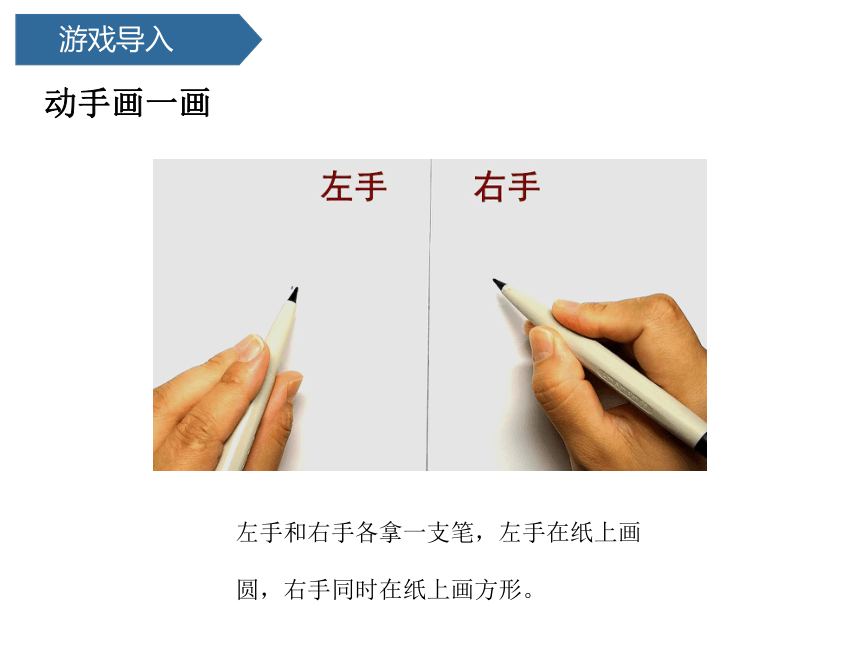 青岛版（六三制2017秋）科学五下课件1-1  我们的脑 课件(共16张PPT)