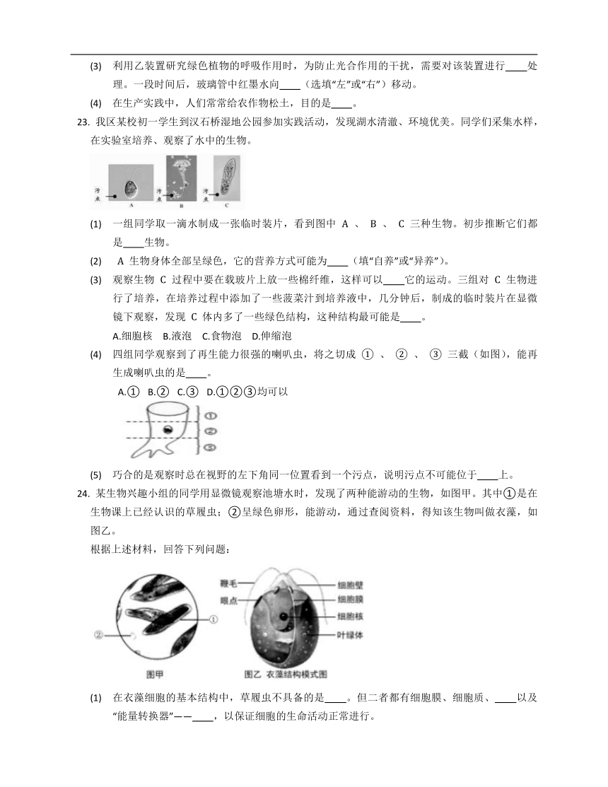 2020-2021学年北师大版八年级下册生物第七单元22.2原生生物的主要类群同步练习（word版含解析）