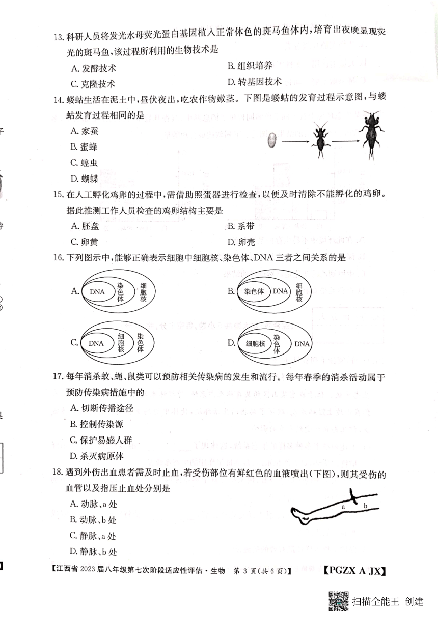 江西省上饶市余干县2022--2023学年八年级下学期第七次阶段适应性评估生物试卷（PDF版无答案）