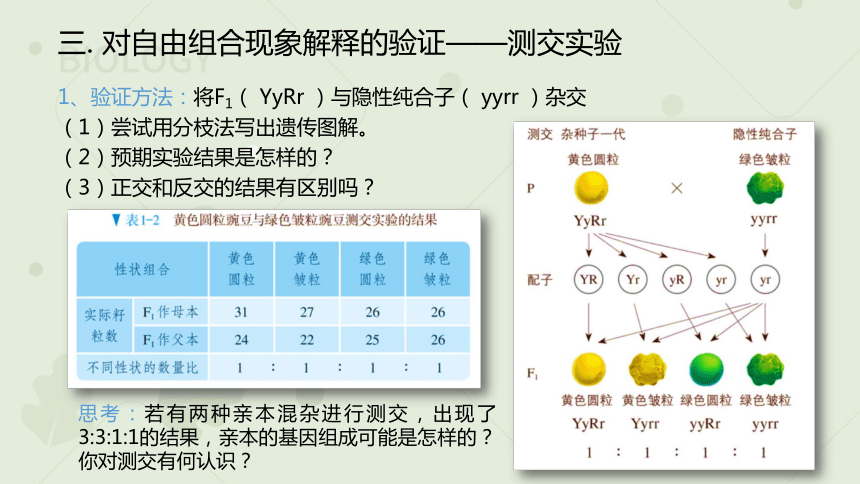 高中生物人教版（2019）必修二1.2 孟德尔的豌豆杂交实验（二）（教学课件）（14张ppt）
