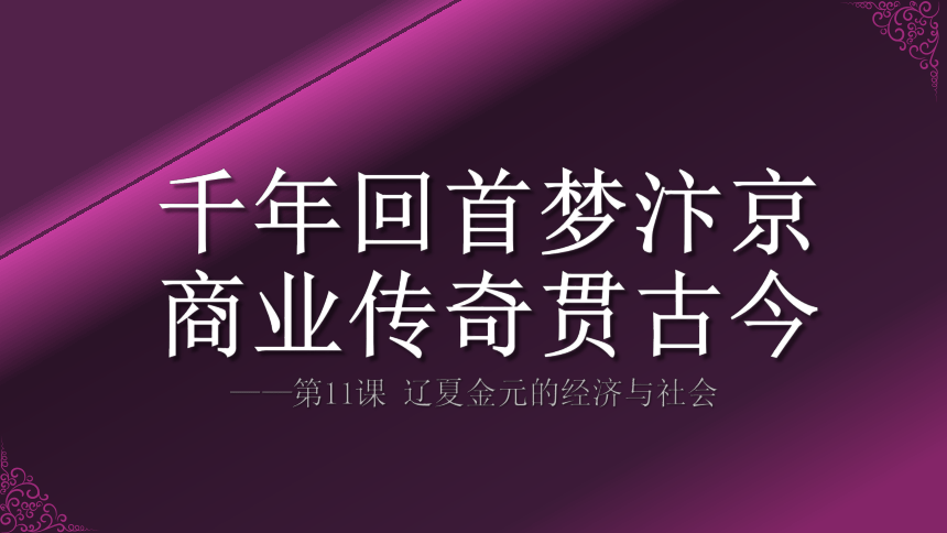 课件 第11课辽夏金元的经济与社会